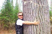 The one that got away (from the sawmill) by Jay Latvala. Located in Algonquin Provincial Park south of North Bay, Ontario (not managed by Parks Canada).
