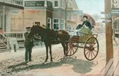 Cheval et une charrette (sulky?) À Ste-Anne-de-Beaupré (Québec).
