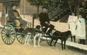 Ste-Anne Beaupré (Québec), probablement au début des années 1930.