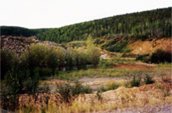 Finalist: Dawson City by Dan Gallacher. Important collection of buildings from the Klondike Gold Rush in Dawson, Yukon Territory (2 of 2 images).